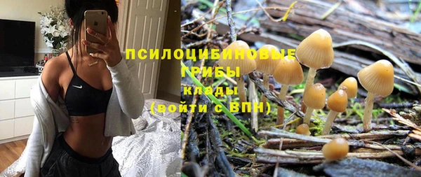 спиды Иннополис