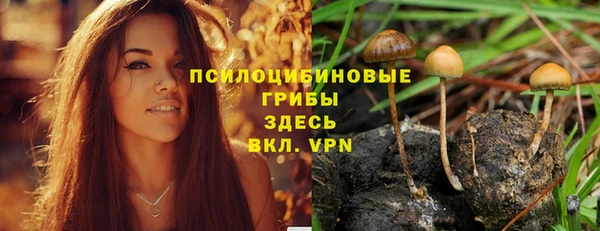 МДМА Инта