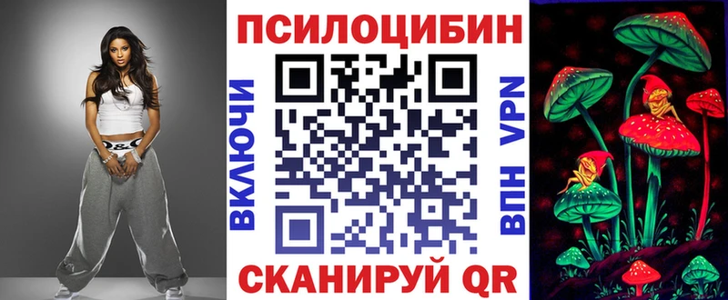дарнет шоп  Чадан  Галлюциногенные грибы мицелий 